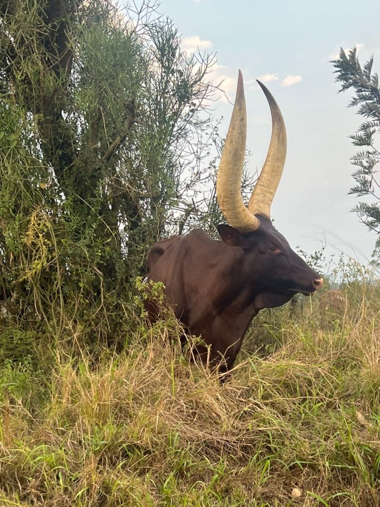 WhatsApp Image 2024-08-15 at 11.39.19_e3d47299