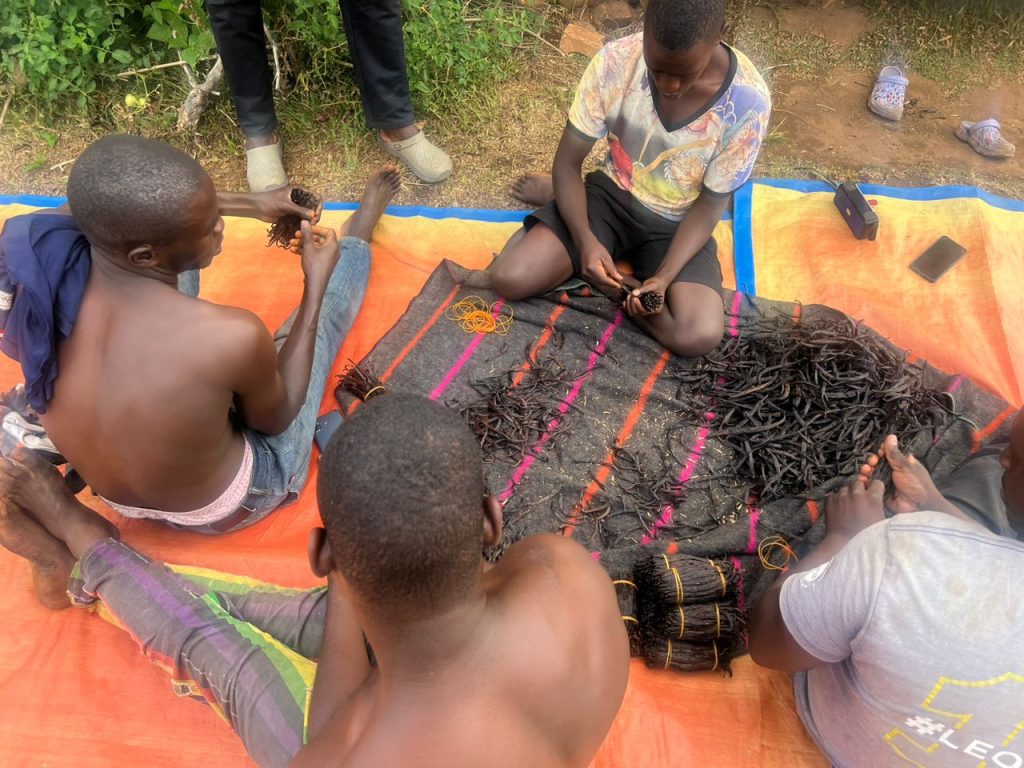 WhatsApp Image 2024-08-15 at 11.47.58_7b2c0b49